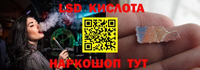 СК Новозыбков