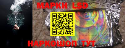 СК Новозыбков
