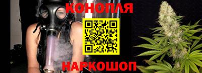 СК Новозыбков