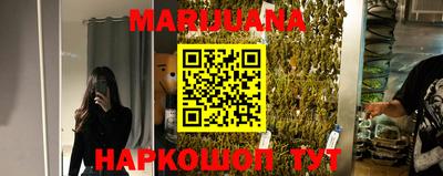 СК Новозыбков