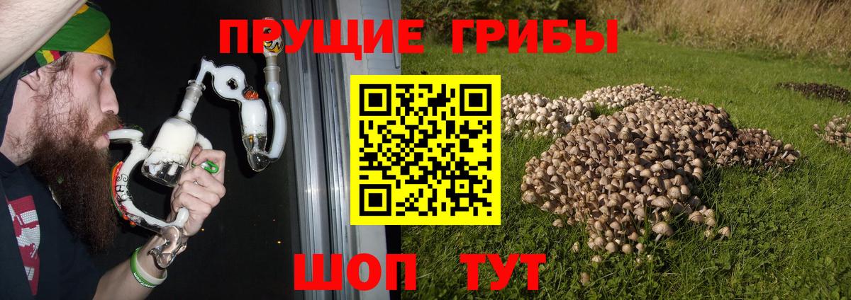 Псилоцибиновые грибы прущие грибы  Галлюциногенные грибы Cubensis  Дагестанские Огни  Вход с VPN 